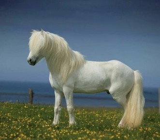 ��������� �����: ��� ������������ ������������ � ����������