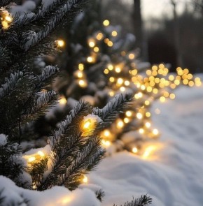 ��� ������� �� �������� ������� � ����� ����� � �����