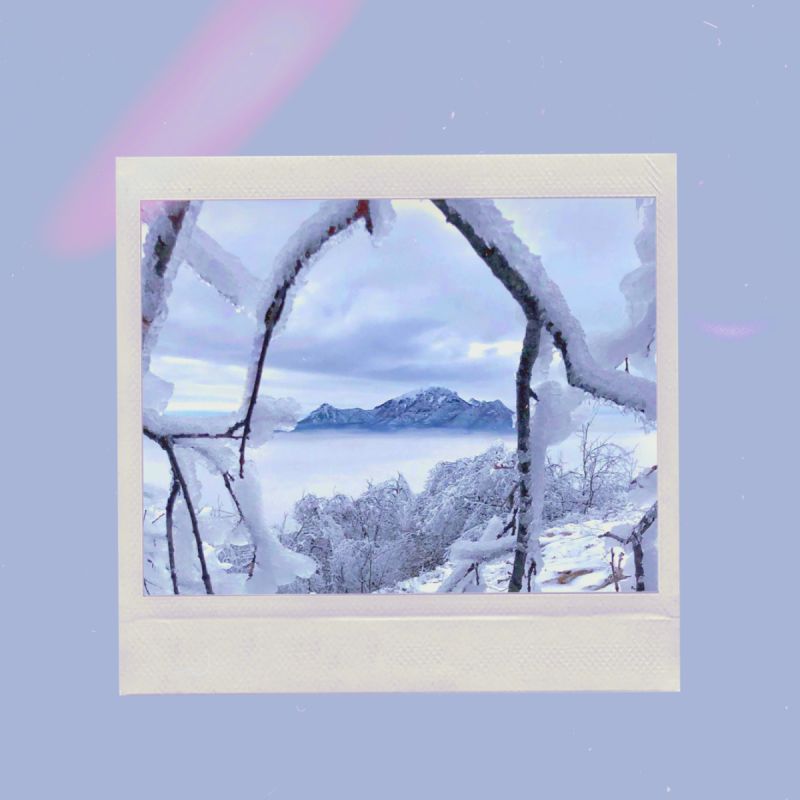 ������ ����������� ����� ���� �������� ���������� � ����������?