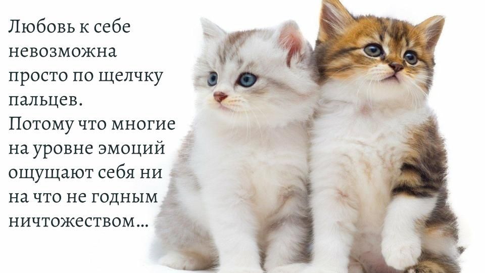 Почему любовь к себе не доступна каждому?