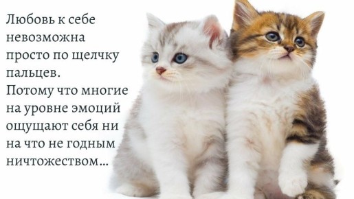 ������ ������ � ���� �� �������� �������?