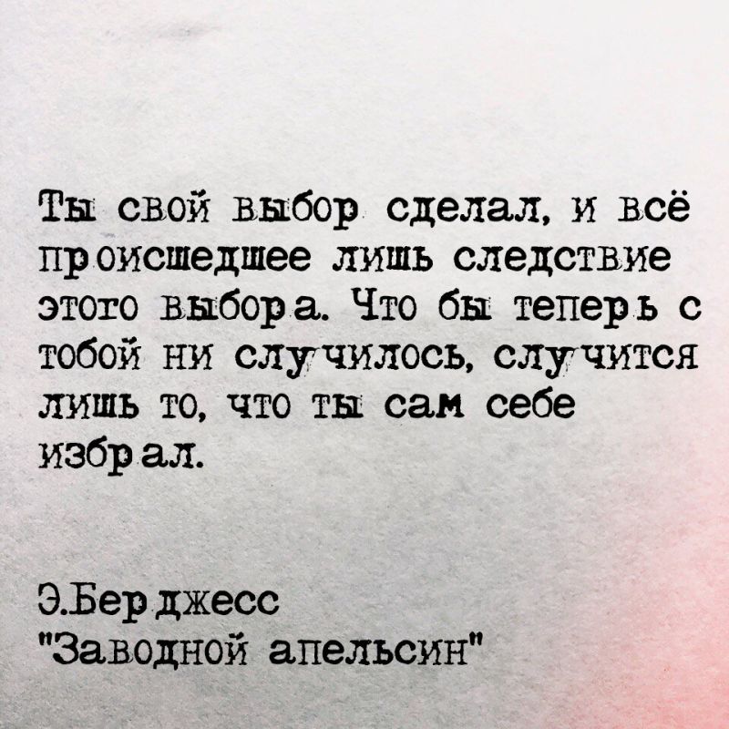 Свобода выбора: пять типов людей в нашем обществе