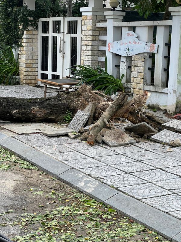 ��� �������� ������ �� ��������: ������ ���� � ������������ ������