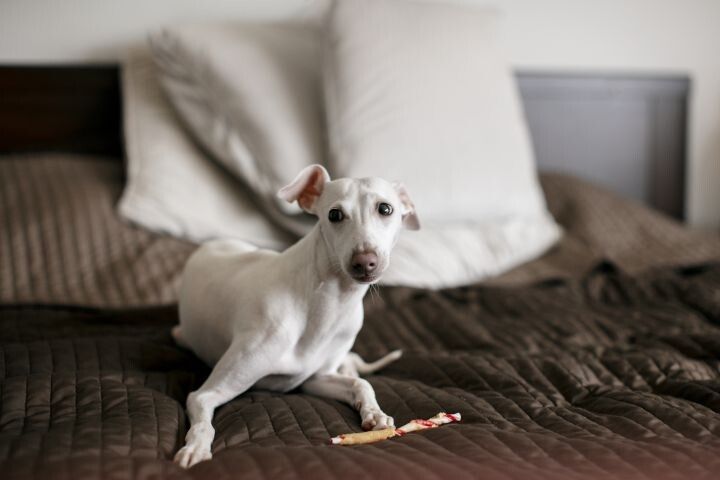 ��� ������� ����� ������ ����� ����� ����������