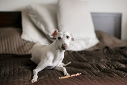 ��� ������� ����� ������ ����� ����� ����������