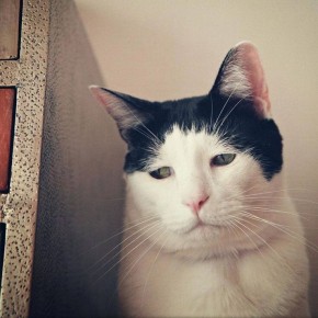 ��� ������� ������� � �����: 7 ������� ����� � ����������