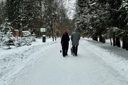 ������ ��������� ��������� ���������: ������ ��������