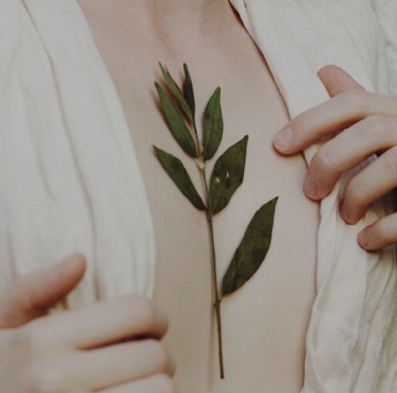 ��� ������ � ���� ���������� ���� ���� � �����