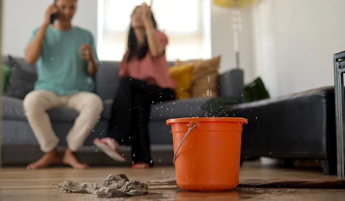 ��� ���������, ���� ������ �������� ���� ��������: ������ ���������