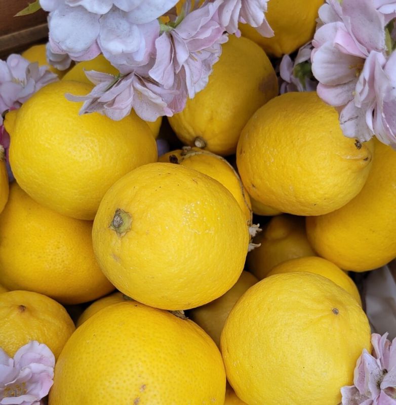 ��� ���� ��� � ���� ������������: ��� �� ����� � ����������