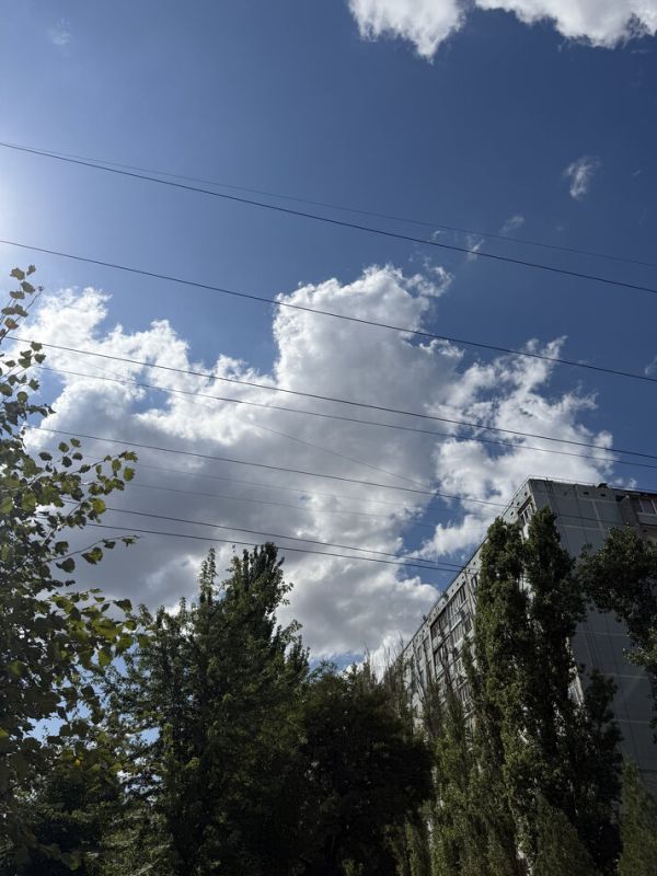 ����� ��� ����� �������