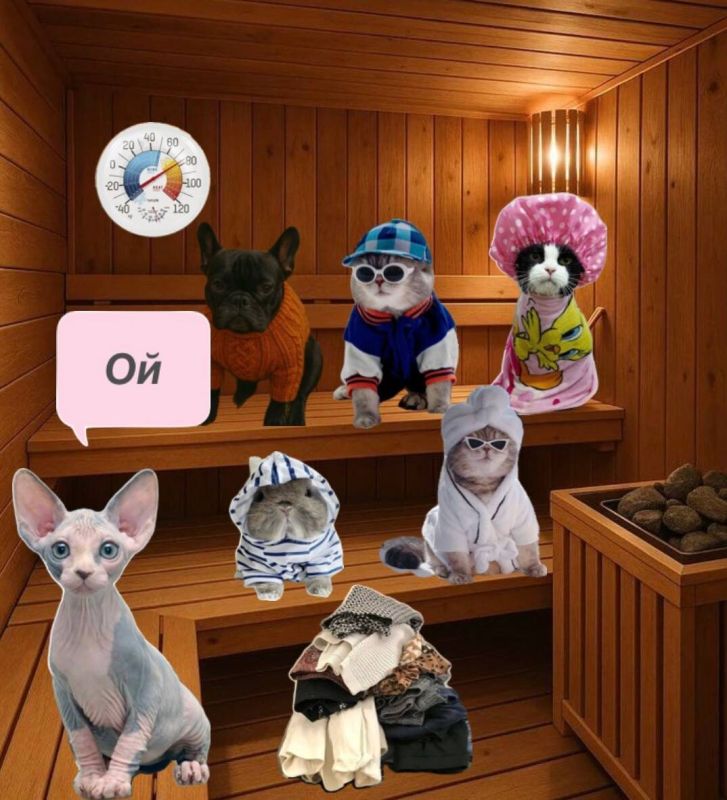 ��������� �������: ���������� ��� ���� � ����