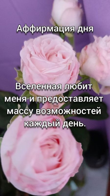 ������������� ���� ������: �������� ����������� ������ � ���������