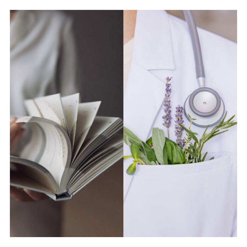 ������� ��������: ��� ������������� ������ �� ��������