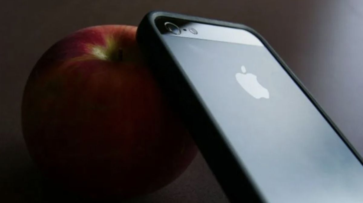 ����� ������ �����: ��� ��������� ����� ������ �������� ���������