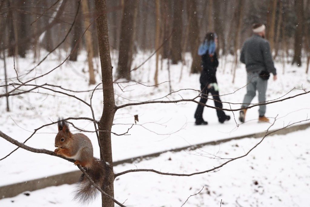 �������� �� ������ �������: �������� ��� ���� �������