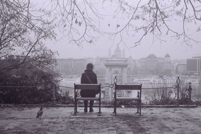 ��� �������� ����������� � ������������ ����