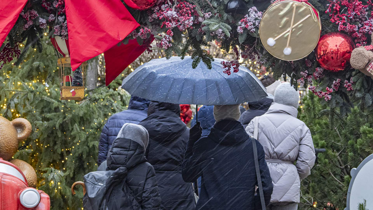 Чувства на уровне тела: как интуиция помогает распознать доверие