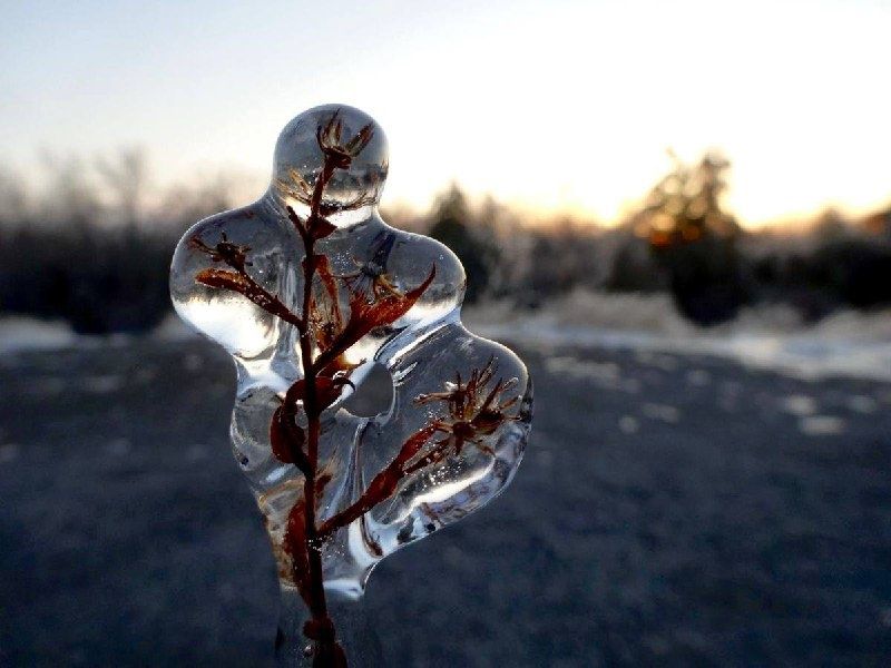 ������� ����� ������: ��� ������� �������� ��� �� ����