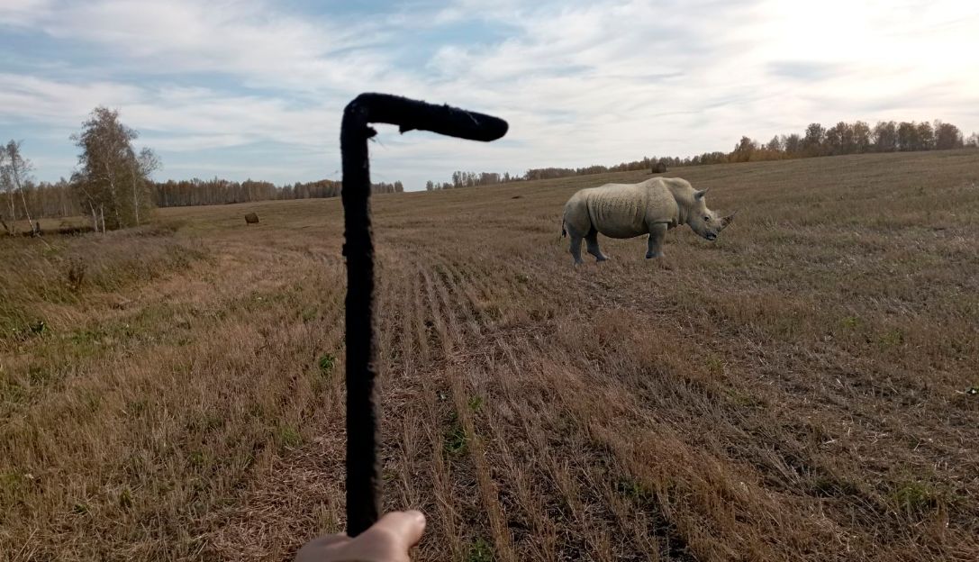 ��� ����� �������� � ����� � ������