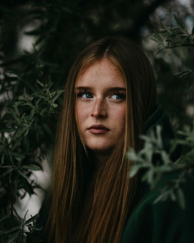 ������ �����������, ������� ��������� �������