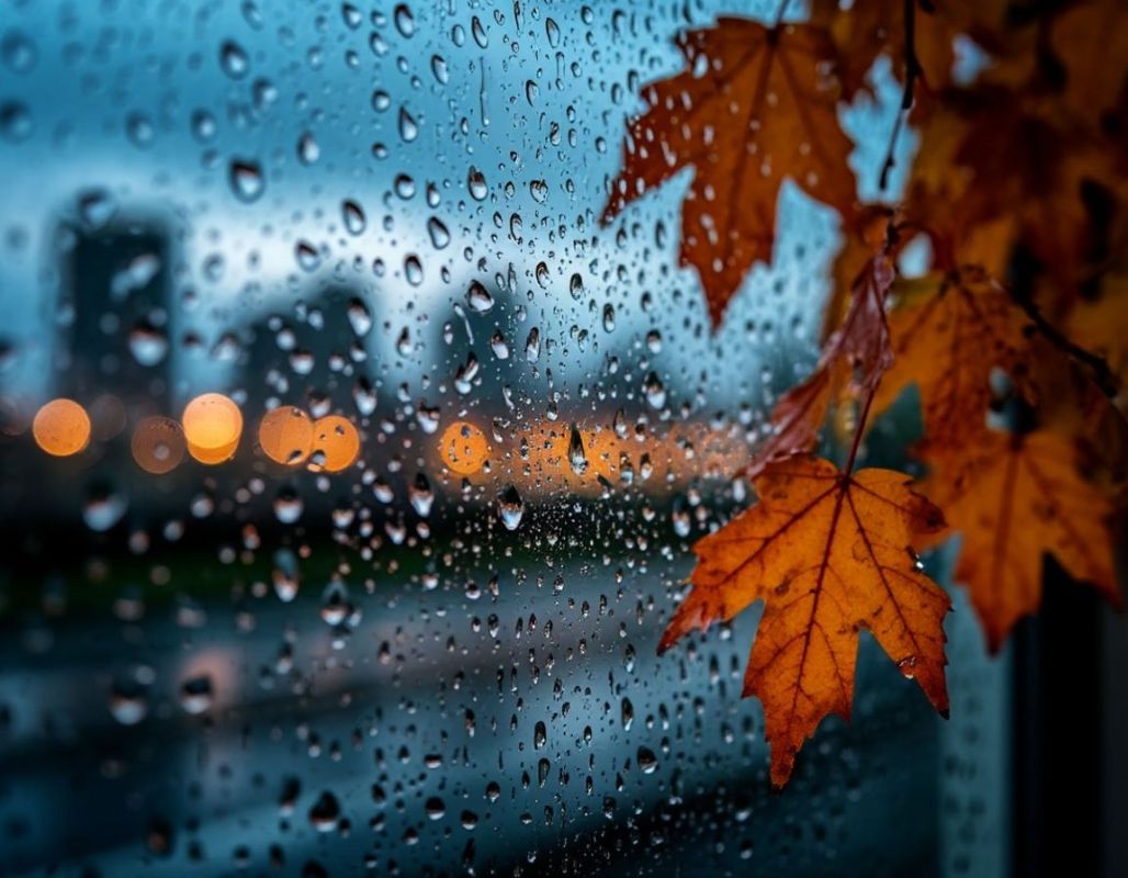 ��� ������� �������� ���� ������ �� ���� ����������� ���������