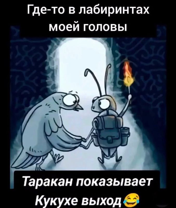 Как развить жизнестойкость в современном мире