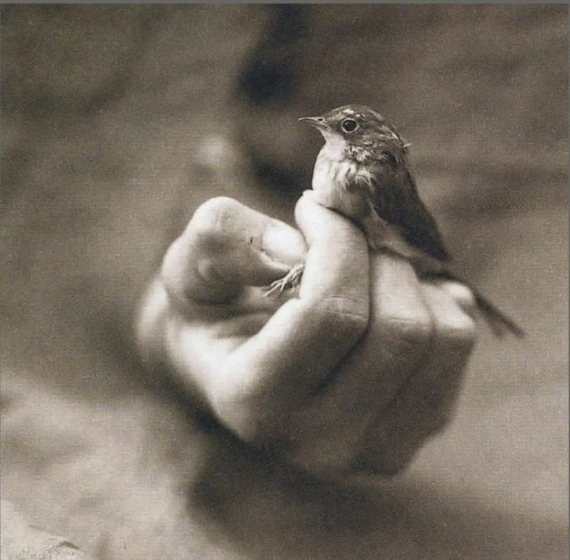 О любви: как найти её в непростых жизненных обстоятельствах