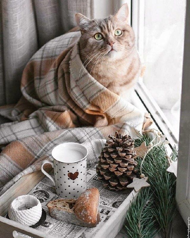 ��� ������ ���� � ������� � �������� ����