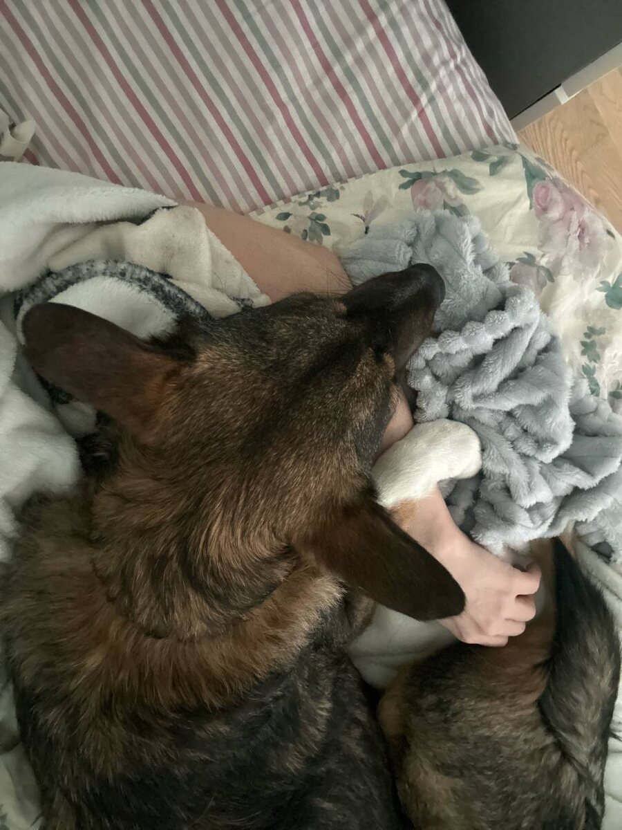 Как определить, ваш ли это партнер на самом деле