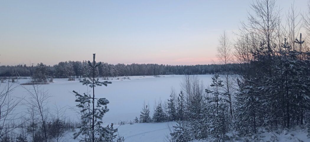 �������� �� ������� ���� � ������� �� ������������������ ���������