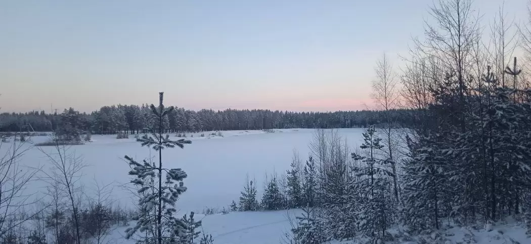 Прогулки по зимнему лесу и влияние на психоэмоциональное состояние