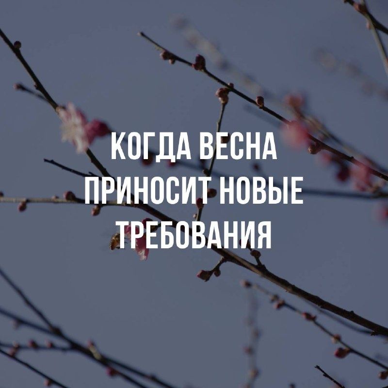 � ������ � ����� �������: ��� �������� ���������� ���������� � ����