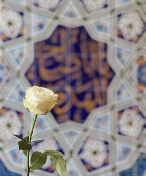 ��� �������� ���� �����, �� ���������� �� ������