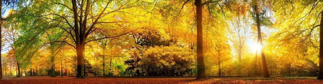 ������� �������� �����: ����������� � �������� � �������