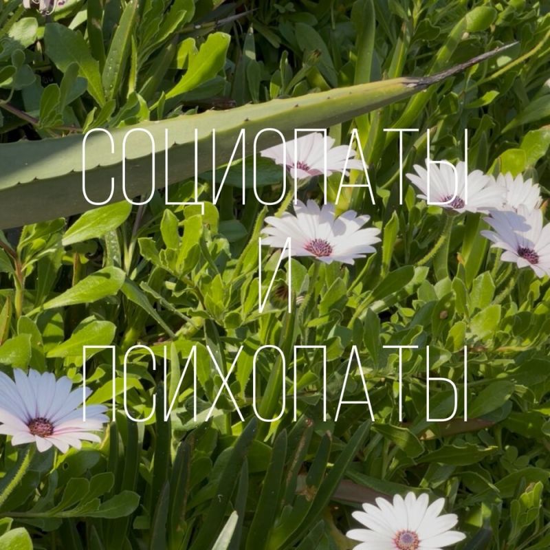 Как распознать социопатов и психопатов в своем окружении