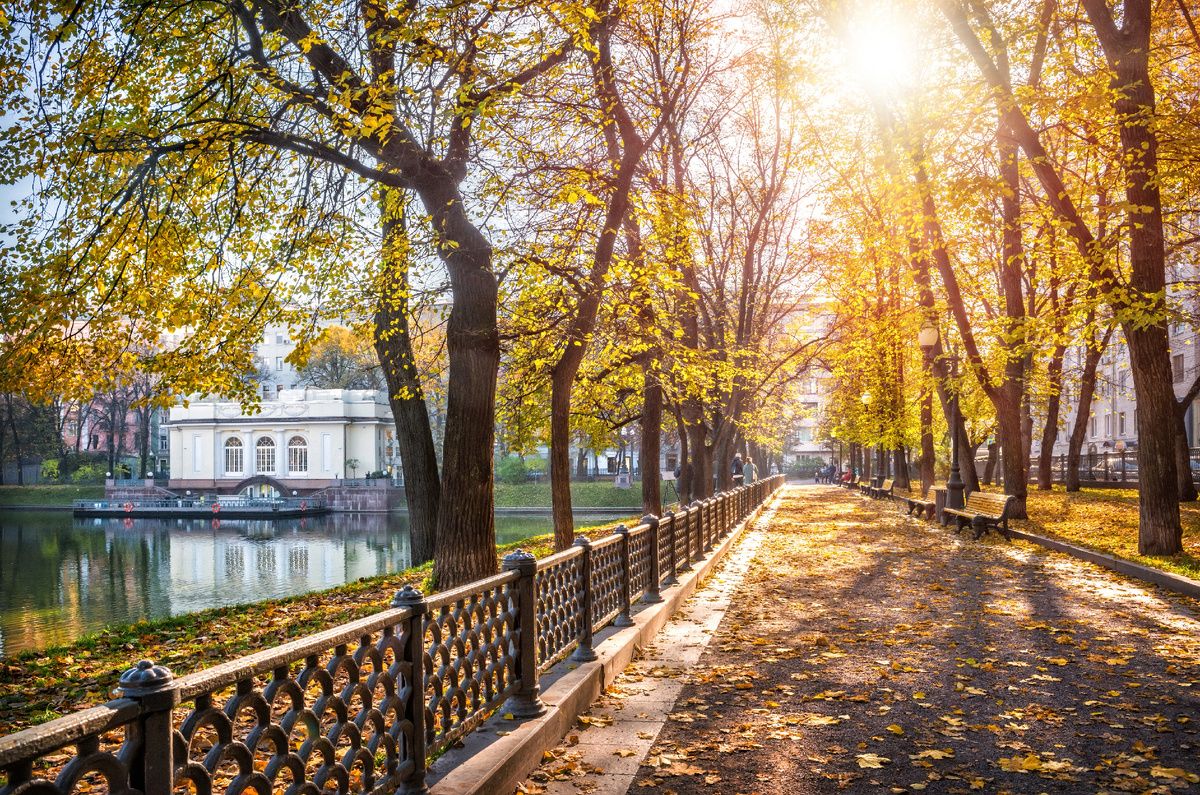 Почему мы выбираем одни и те же районы для жизни